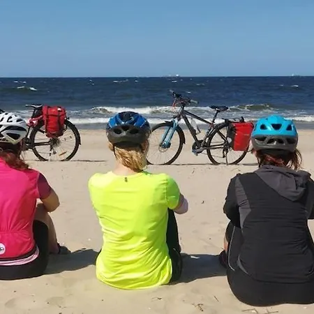 Comfortable Homes With Terraces *