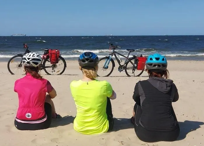 Comfortable Homes With Terraces *